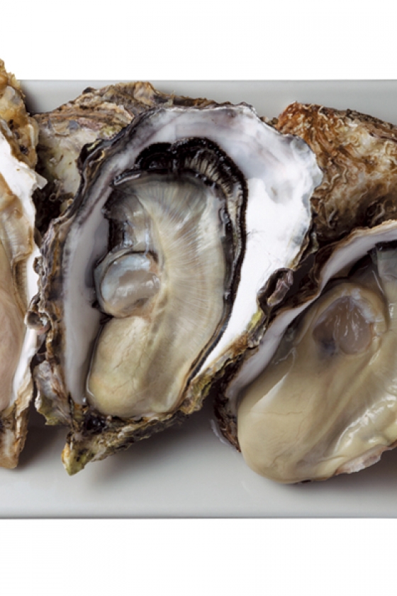 牡蠣を愛するあの人の、おすすめプレート  VOL. 05