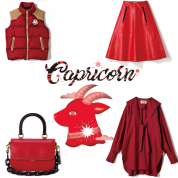 山羊座 12/22～1/19生まれ