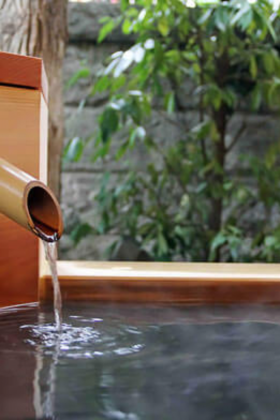 フランチェスカ先生：源泉かけ流しの温泉で、陽の気の“充電”を！