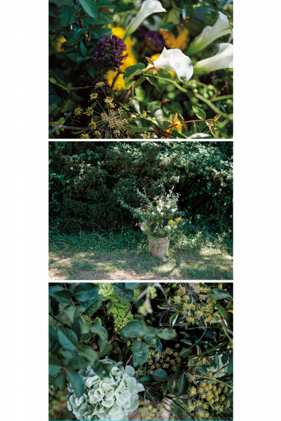 【SPUR 30 FLOWERS】  18：白川幸子