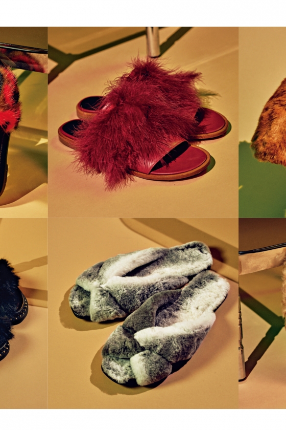 今年は靴に毛が生えた