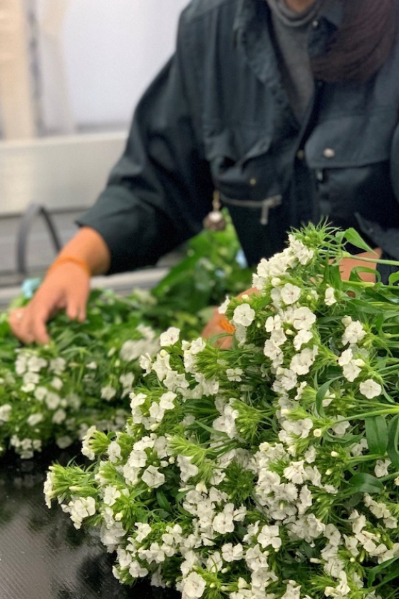 花を飾って生産者を応援！ 無印良品で南房総の生花販売がスタート