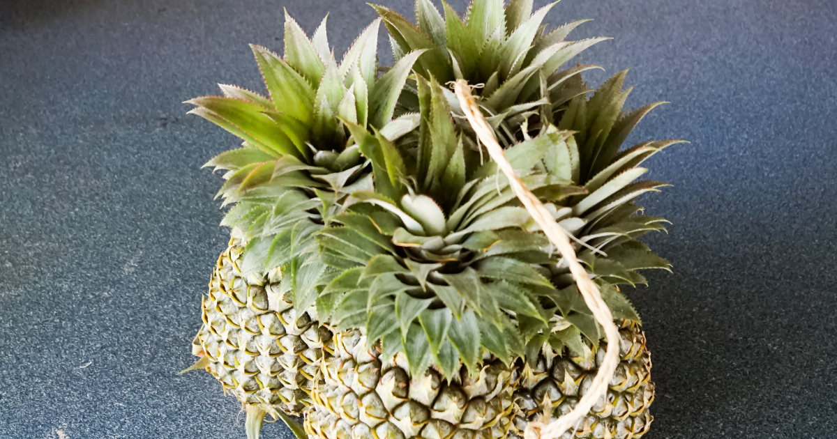 パナマモラ(パイナップルとチェリー) Anna Miller\u0027s ⁄アンナミラーズ