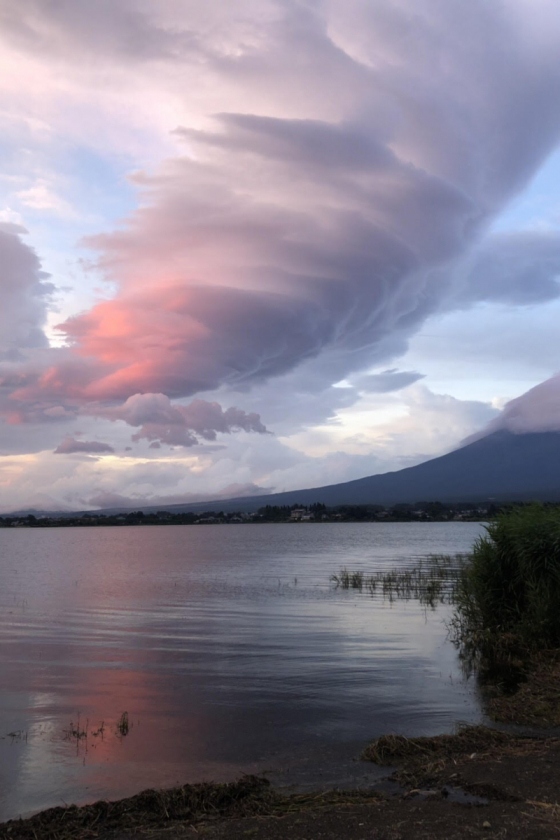 さまざまなフラワーで、30周年を祝福！（編集S）