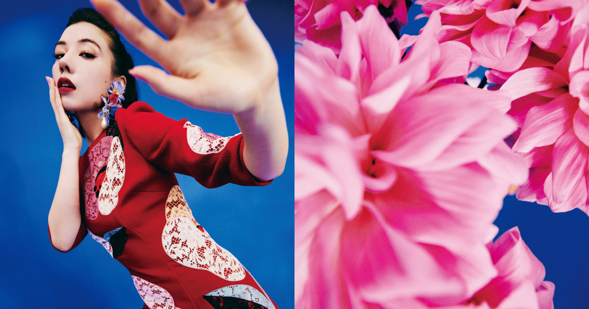 DOLCE&GABBANA 藤の花咲き誇るたっぷりサーキュラーフレアスカート