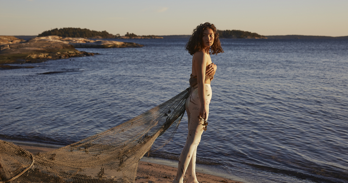 Les queues de Sardines ボーダー　かもめ　タイツ Les queues de Sardines ボーダー かもめ タイツ