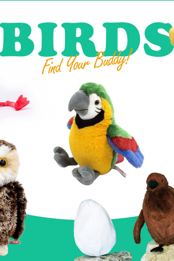 仕事運と勉強運をUPさせ、ライフワークへの扉を開く【ぬいぐるみ占い「鳥」】