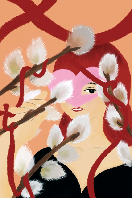 ネコヤナギ Pussy willow