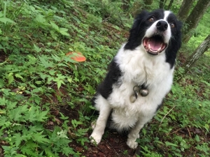 きのこの山の三連休